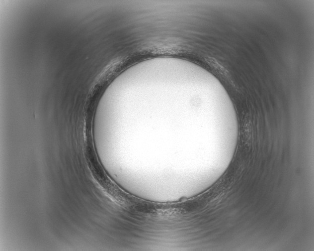 X0000053010686200508051201