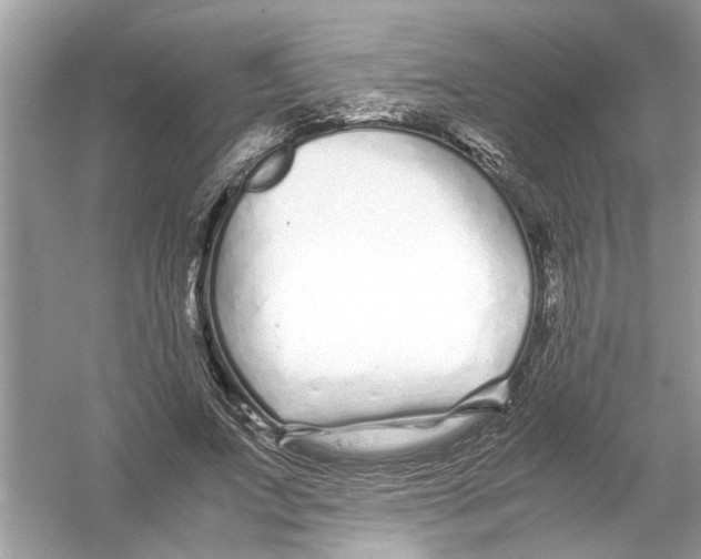 X0000053010687200508051201