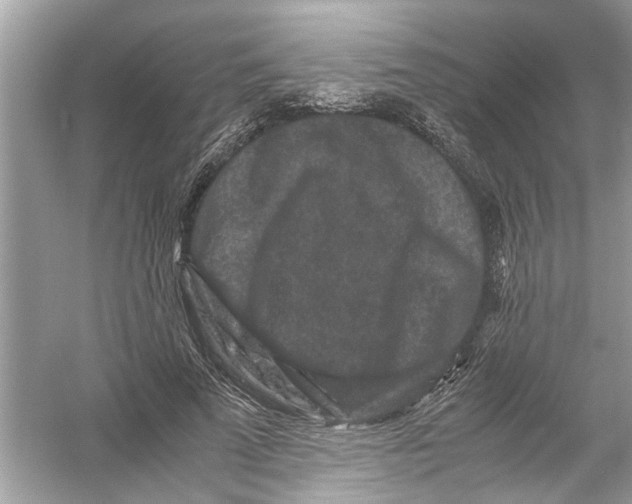 X0000053010689200508051201