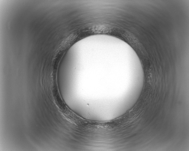 X0000053010690200508051201