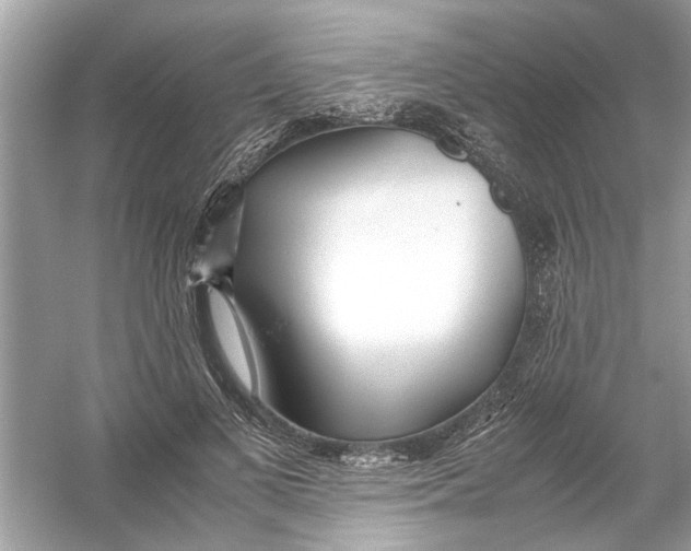 X0000053010693200508051201