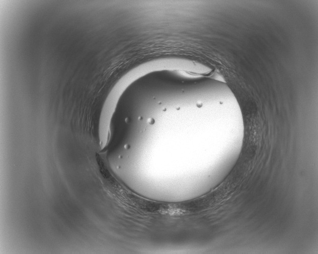 X0000053010695200508051201