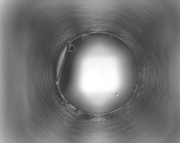 X0000053010696200508051201