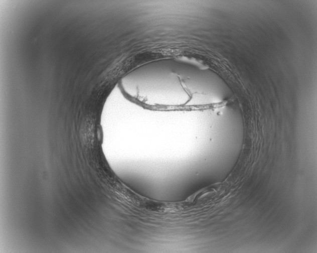 X0000053010697200508051201