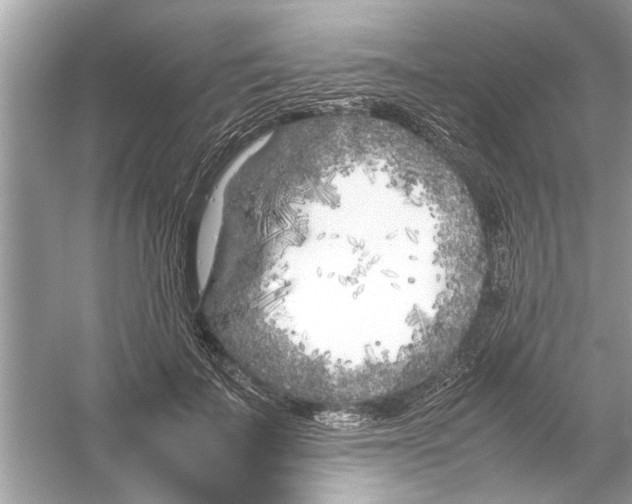 X0000053010699200508051201