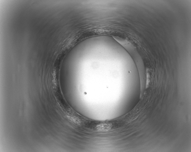 X0000053010700200508051200