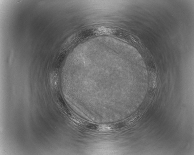 X0000053010701200508051200