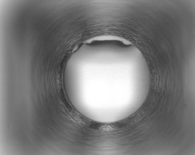 X0000053010704200508051200