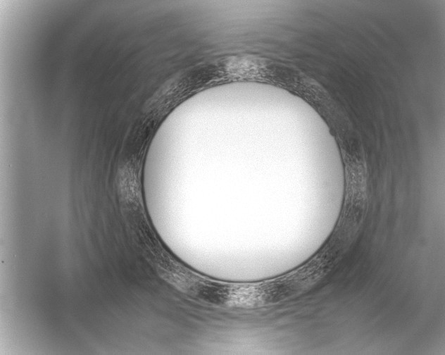 X0000053010705200508051200