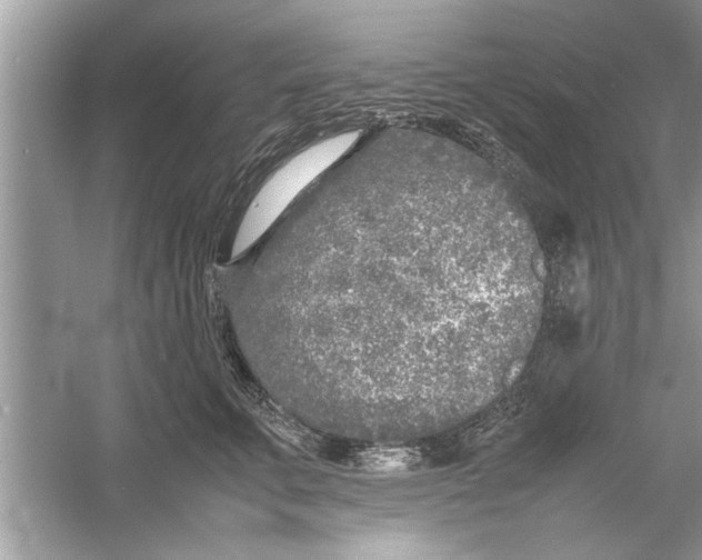 X0000053010711200508051200