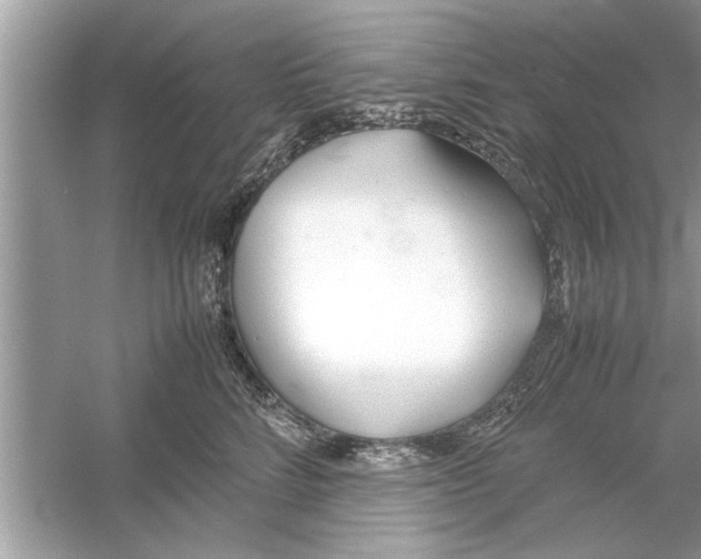 X0000053010712200508051200