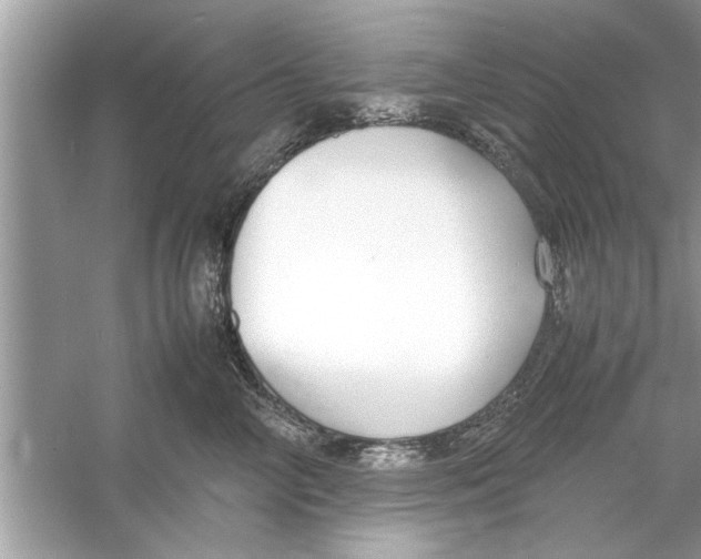 X0000053010714200508051200