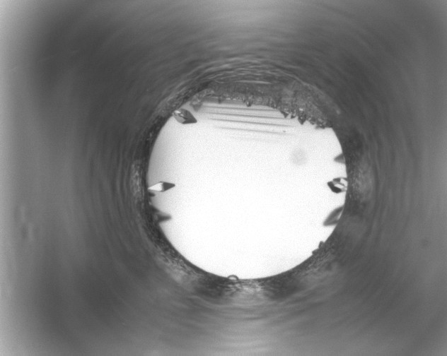 X0000053010715200508051200