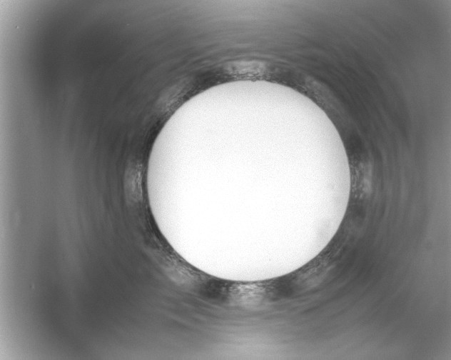 X0000053010717200508051200