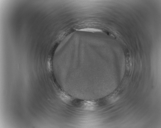 X0000053010718200508051200