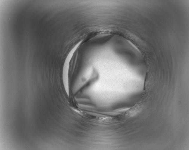 X0000053010720200508051200