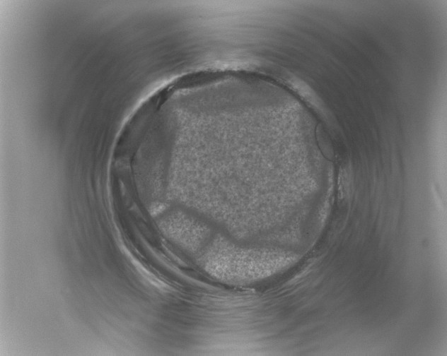 X0000053010722200508051159