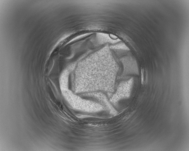 X0000053010723200508051159