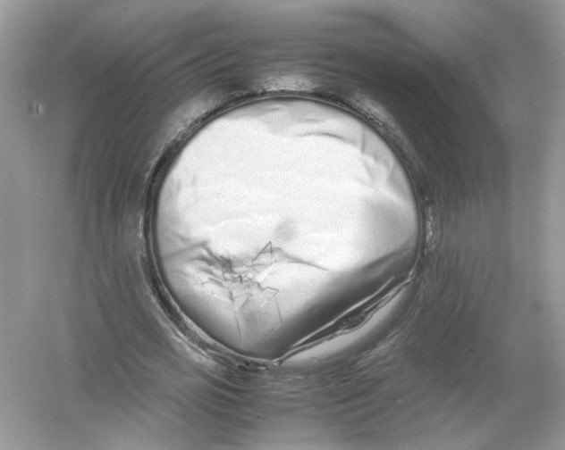 X0000053010725200508051159