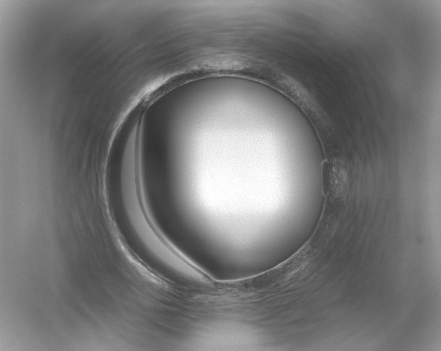 X0000053010726200508051159