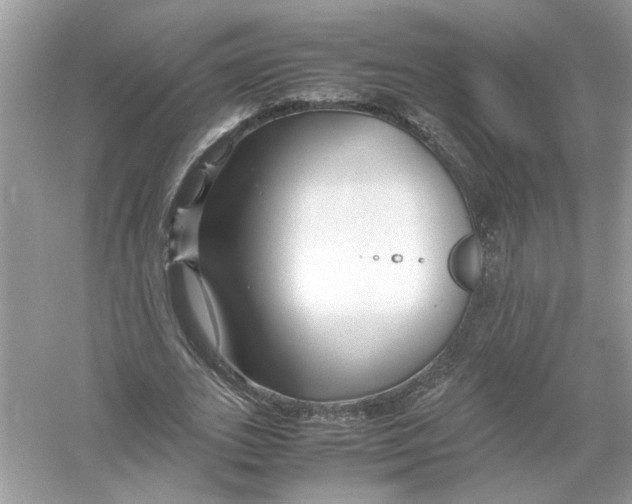 X0000053010727200508051159