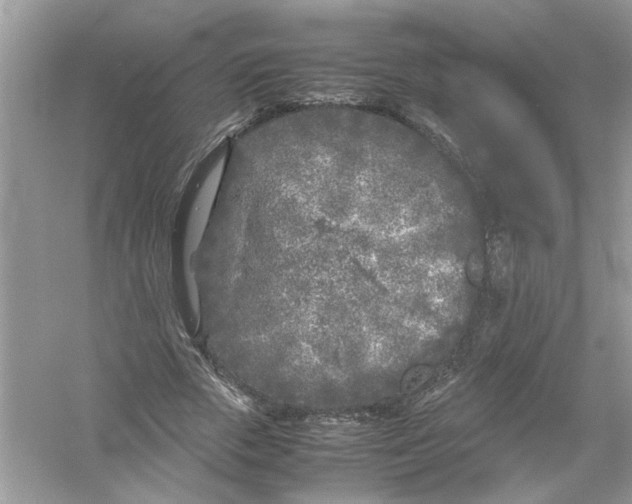 X0000053010729200508051159