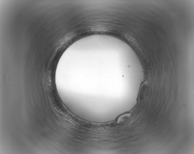 X0000053010731200508051159