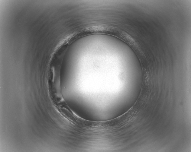 X0000053010732200508051200