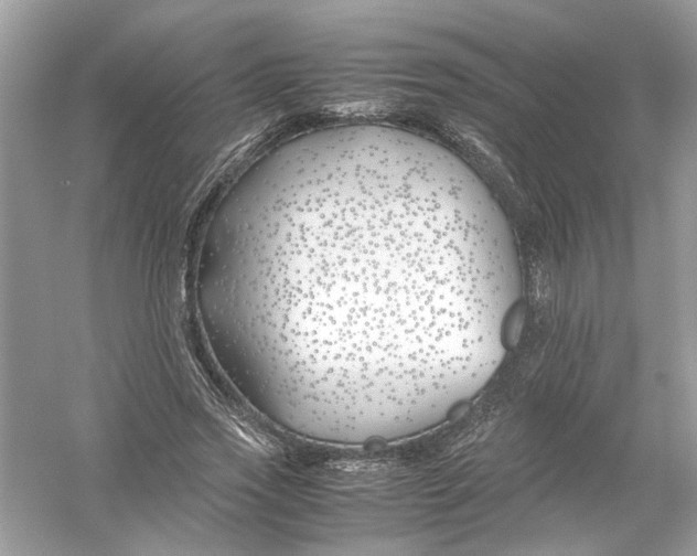 X0000053010733200508051200