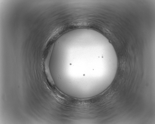 X0000053010735200508051200