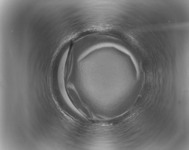 X0000053010736200508051200