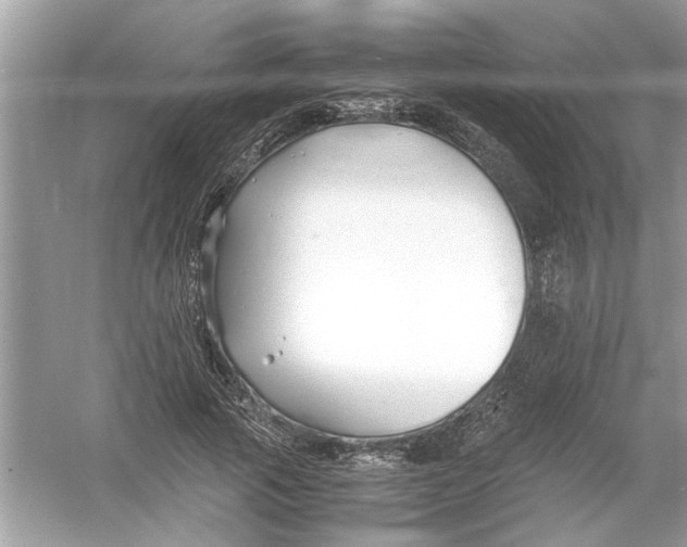 X0000053010737200508051200