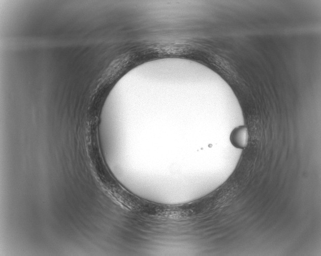 X0000053010738200508051200