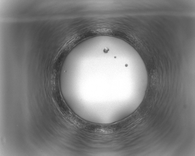 X0000053010739200508051200