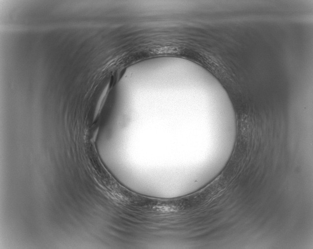 X0000053010741200508051200