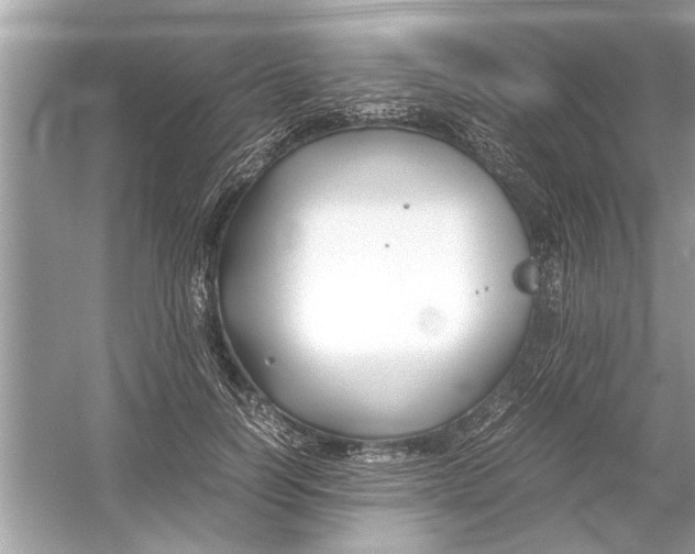 X0000053010746200508051200