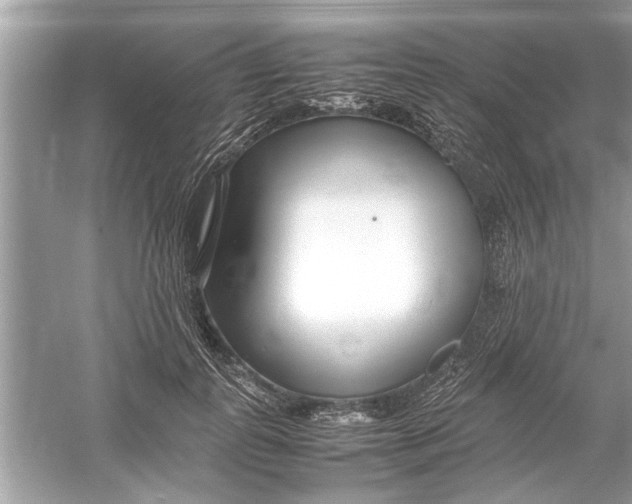 X0000053010747200508051200