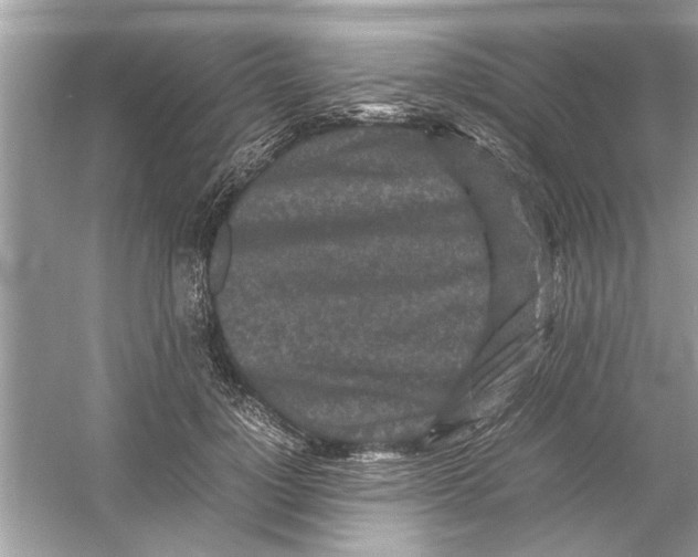 X0000053010748200508051200