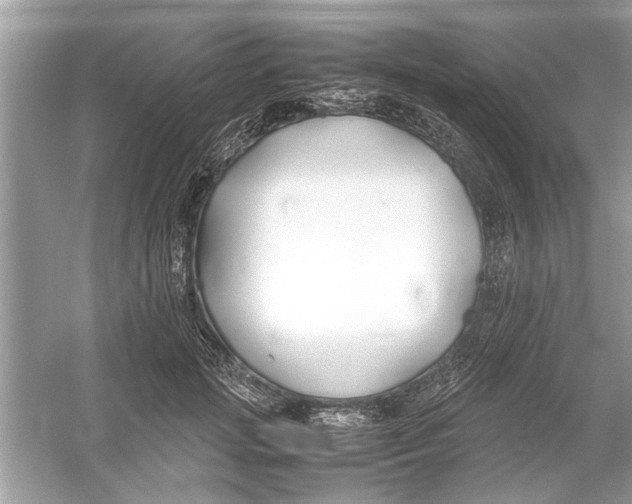 X0000053010749200508051200