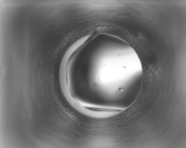 X0000053010750200508051200