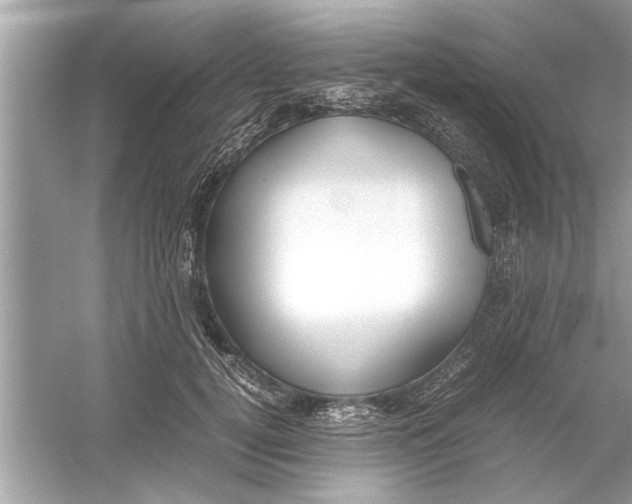 X0000053010752200508051200