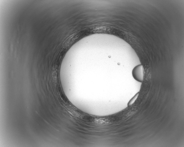 X0000053010753200508051200