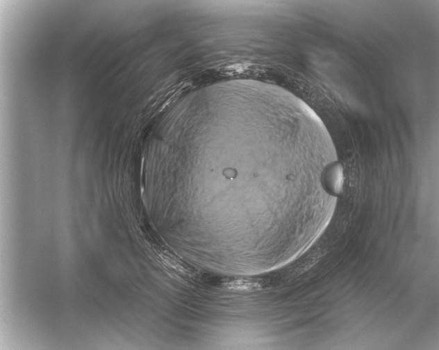 X0000053010754200508051200