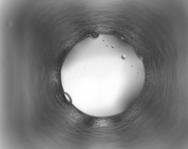 X0000053010755200508051200