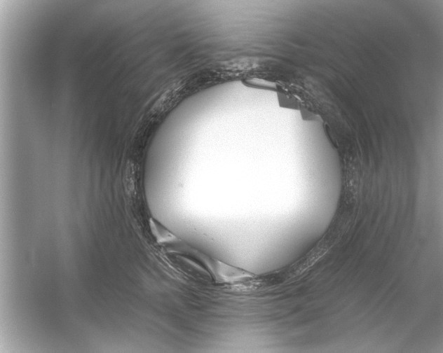 X0000053010758200508051200