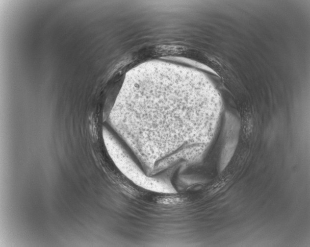 X0000053010759200508051200