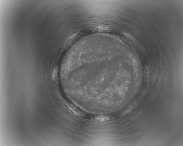 X0000053010760200508051200