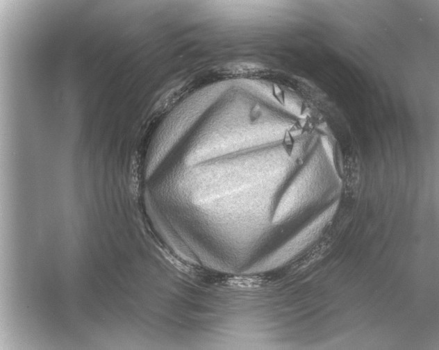 X0000053010762200508051200