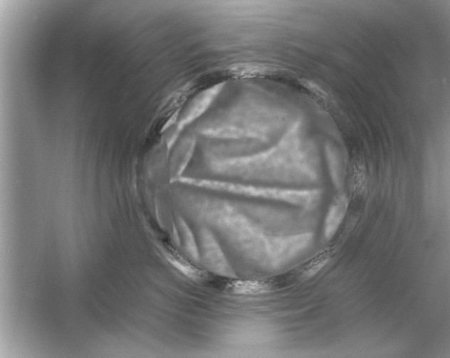 X0000053010766200508051200