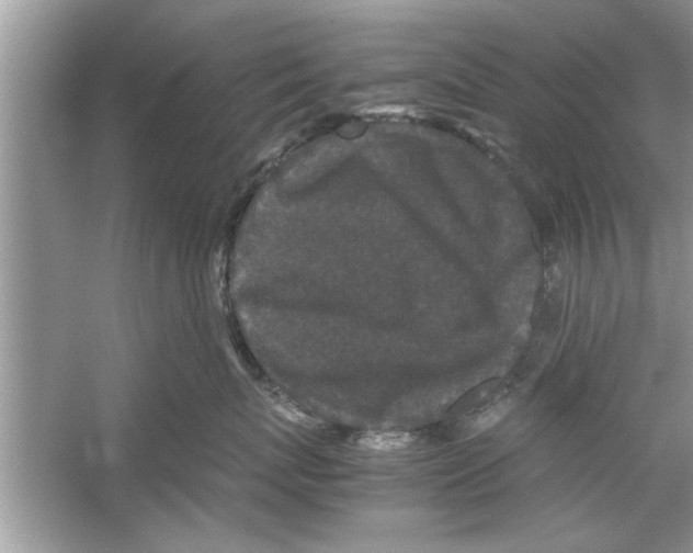 X0000053010767200508051200